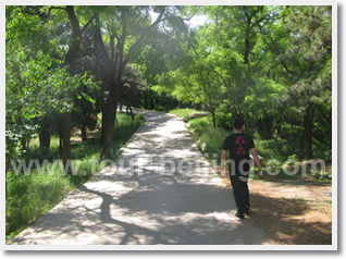 Beijing Beidaihe 3 Day Bird Watching Tour